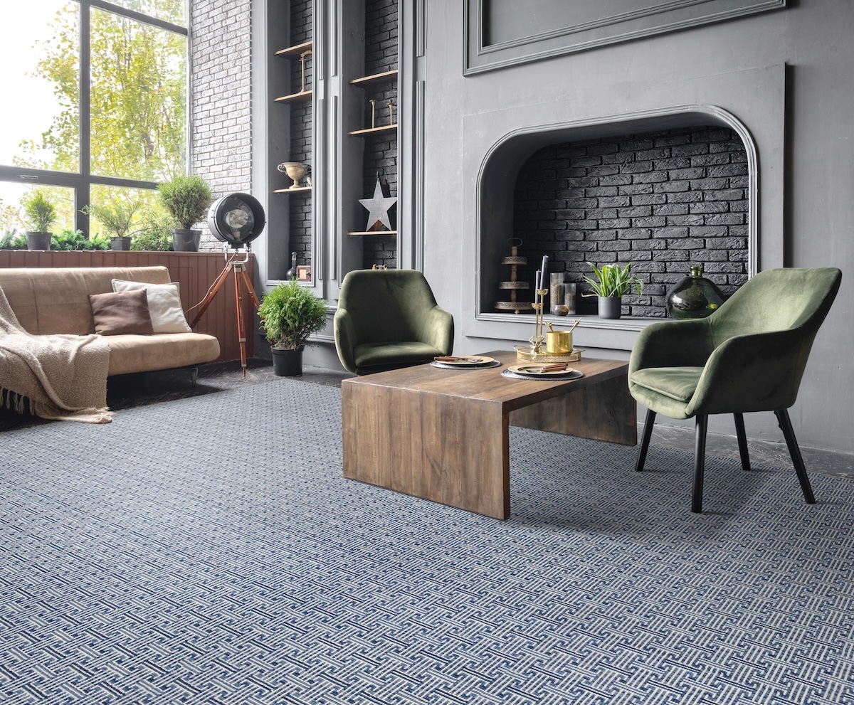 Grey Carpet in Living Room